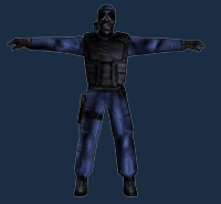 sas.jpg